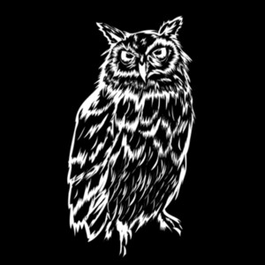 Night Owl (White) - Unisex Premium Cotton Long Sleeve T-Shirt Design