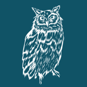 Night Owl (White) - Unisex Premium Fleece Pullover Hoodie Design