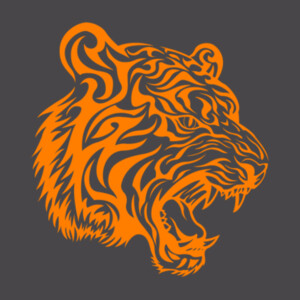 Tiger Face (orange) - Youth Premium Cotton T-Shirt Design