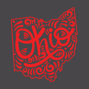 Ohio (Red) - Youth Premium Cotton T-Shirt Design