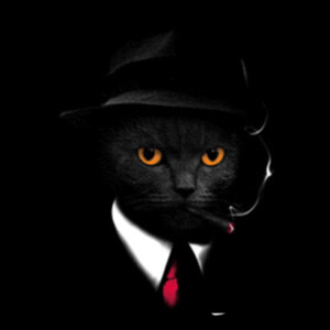 Cat Agent - Women's Premium Cotton T-Shirt Design