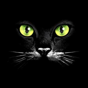 Cat Face - Unisex Premium Cotton Long Sleeve T-Shirt Design