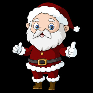 The Santa Claus - Women's Premium Cotton T-Shirt Design