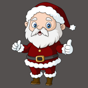 The Santa Claus - Women's Premium Cotton Slim Fit T-SHirt Design