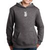 Youth Hooded Sweatshirt Thumbnail