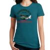 Ladies Perfect Blend T-Shirt Thumbnail